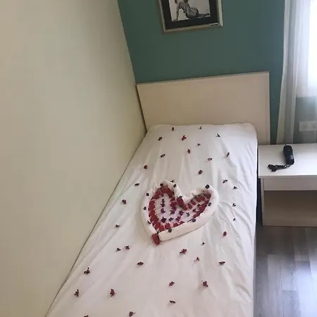 Artemis ボドルム