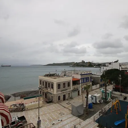 Artemis ボドルム