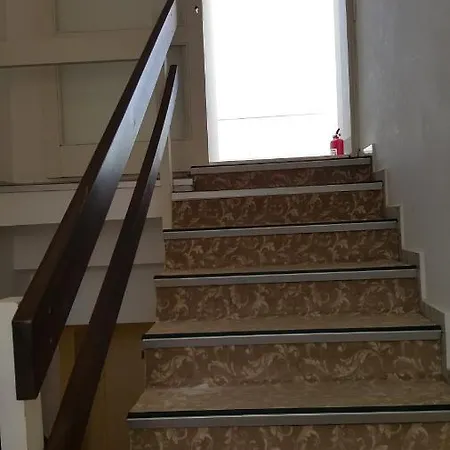 Artemis ボドルム