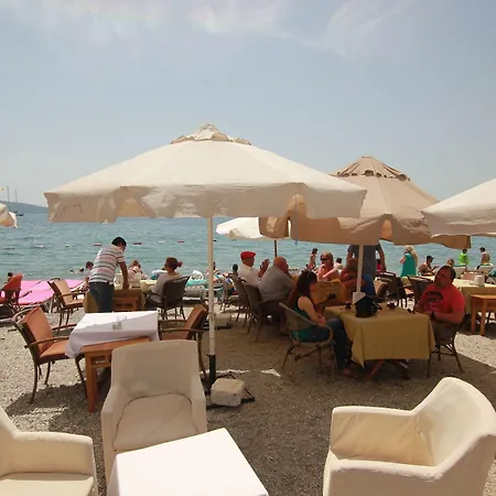 Artemis Bodrum