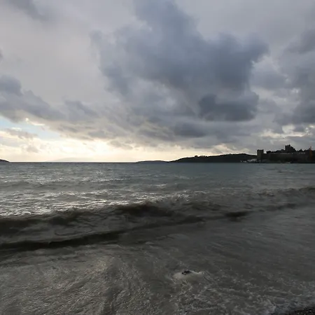 Artemis ボドルム