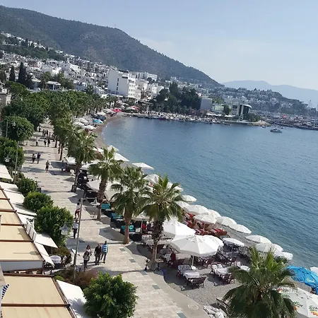 ホテル Artemis 2*