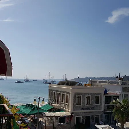 ホテル Artemis 2*