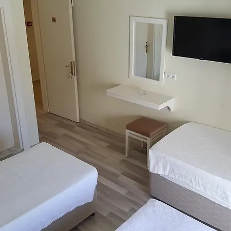 Artemis ボドルム