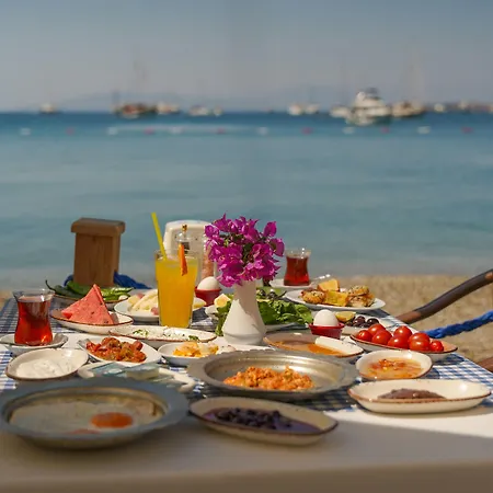 Artemis Hotel