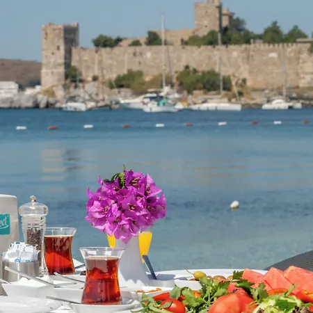 Artemis Hotel 2*