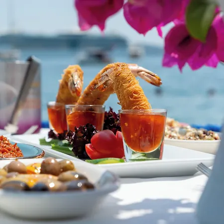 Artemis Bodrum