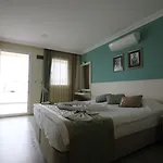 阿耳特弥斯酒店 2*