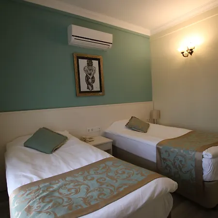 Artemis Hotel 2*